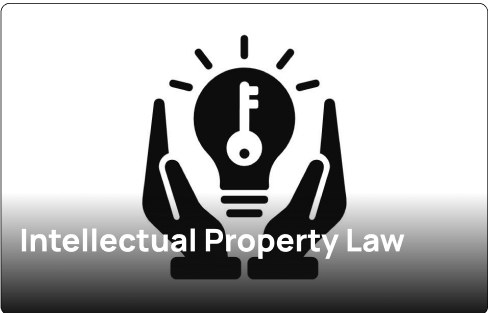 Intellectual Property Law
